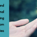 Social and Emotional Learning Lessons from Fireflies