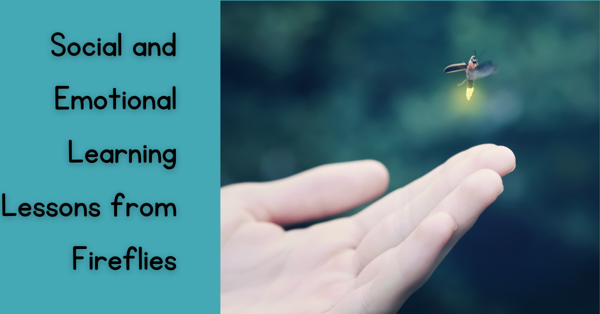 Read more about the article Social and Emotional Learning Lessons from Fireflies