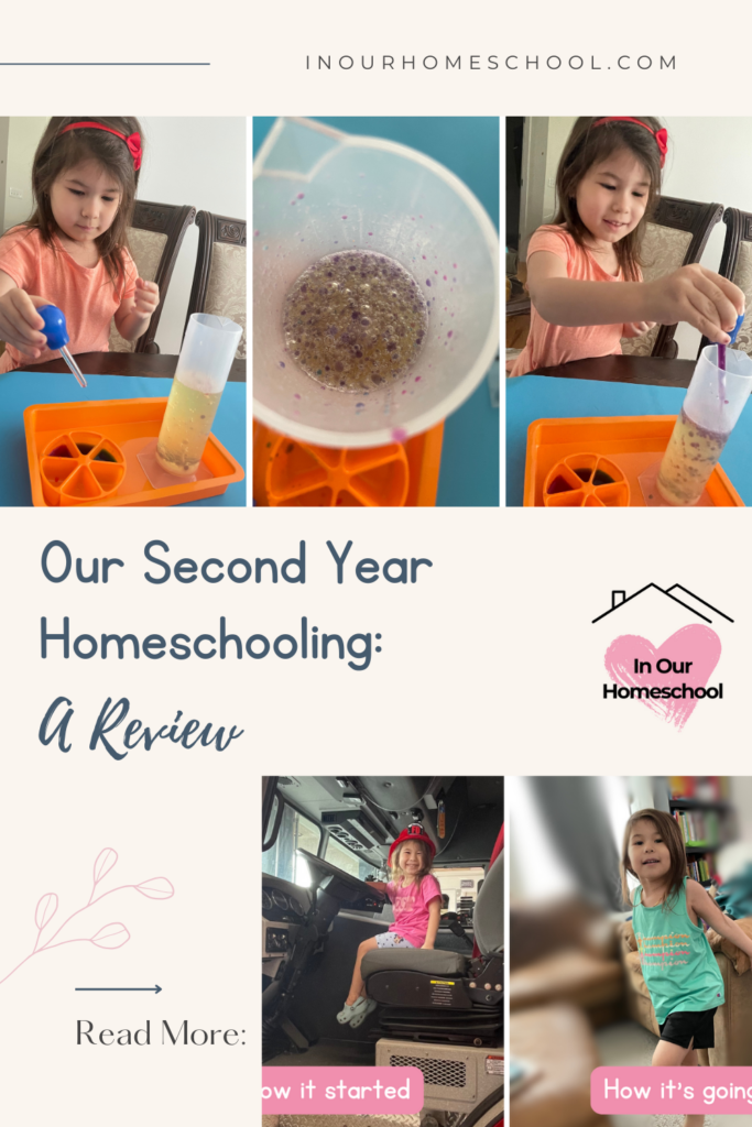 Our Second Year Homeschooling: A Review