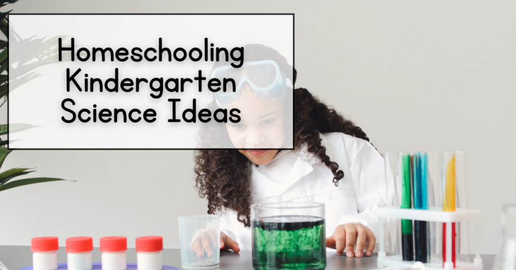 Homeschooling Kindergarten Science Ideas - science kit